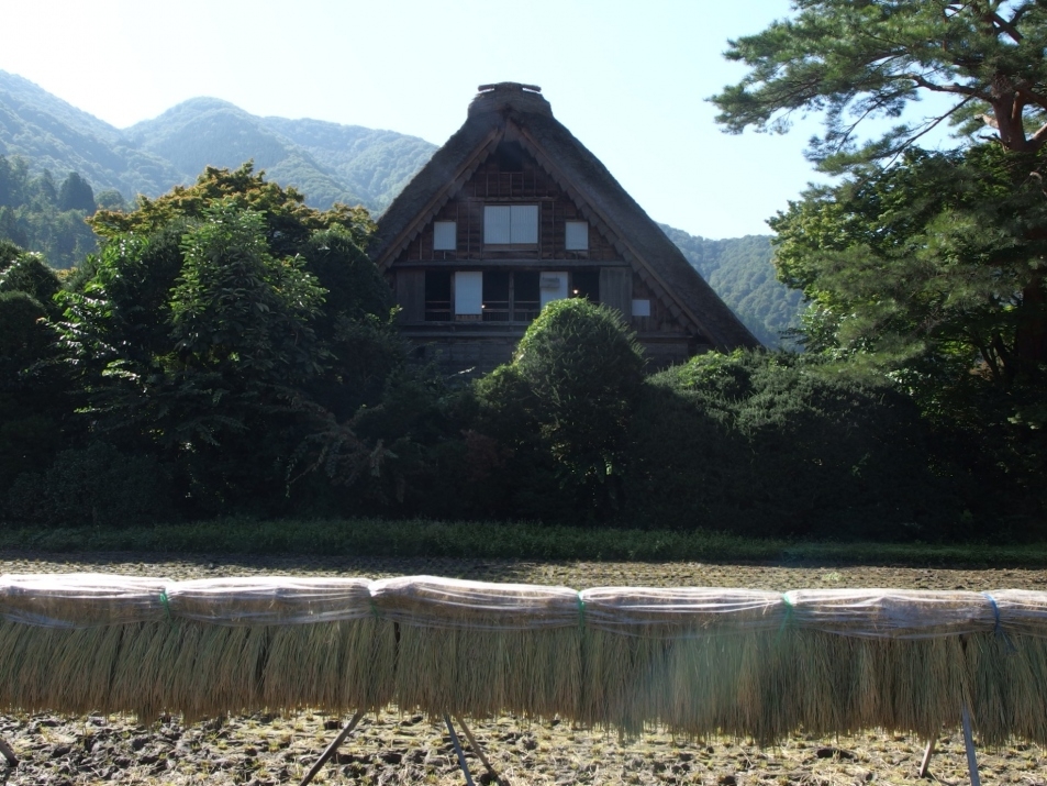 合掌村必去景點推薦:和田家