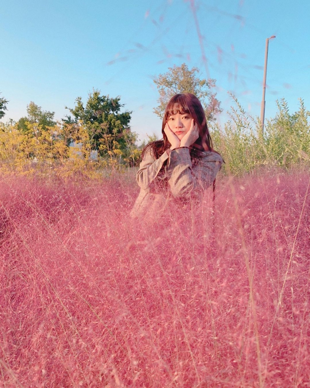 韓國秋季打卡景點：首爾蠶院漢江公園