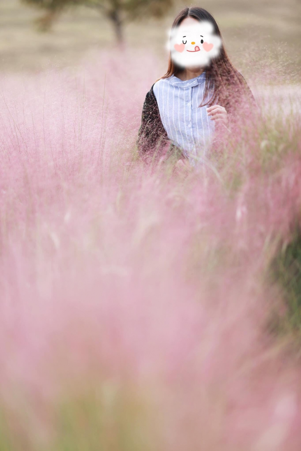 韓國秋季打卡景點：釜山大渚生態公園