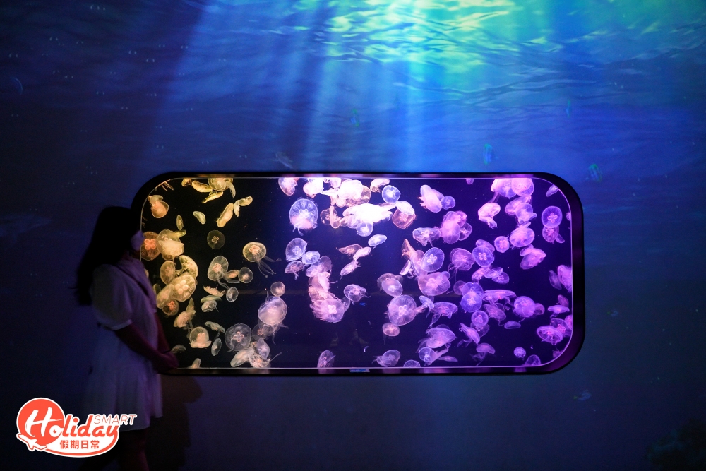 當中必影光影海洋觀景窗、VR海洋探秘之旅及水母萬花筒等。