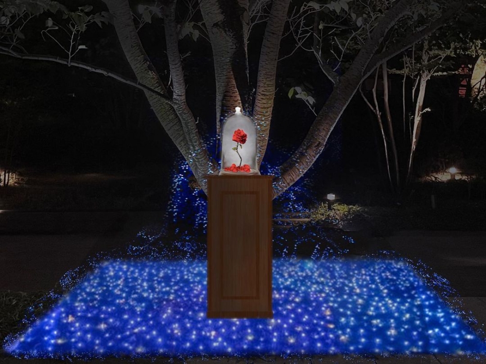 《美女與野獸》玫瑰花