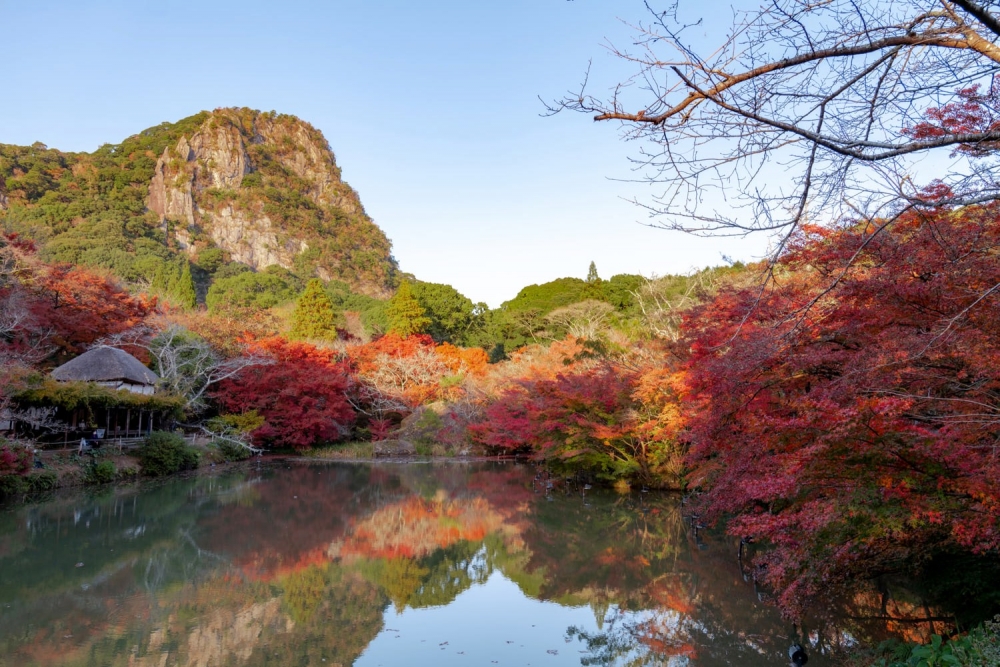 日本賞楓好去處推介:御船山樂園