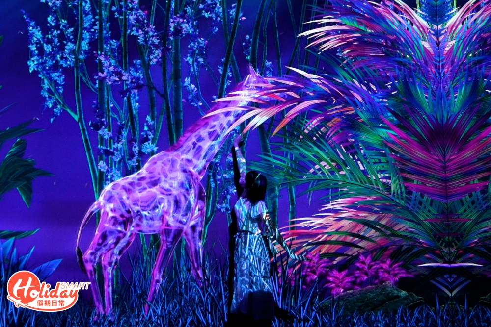 夜幕降臨的叢林充滿神秘感,動物們身上驟變成螢光色系,猶如置身神秘國度!