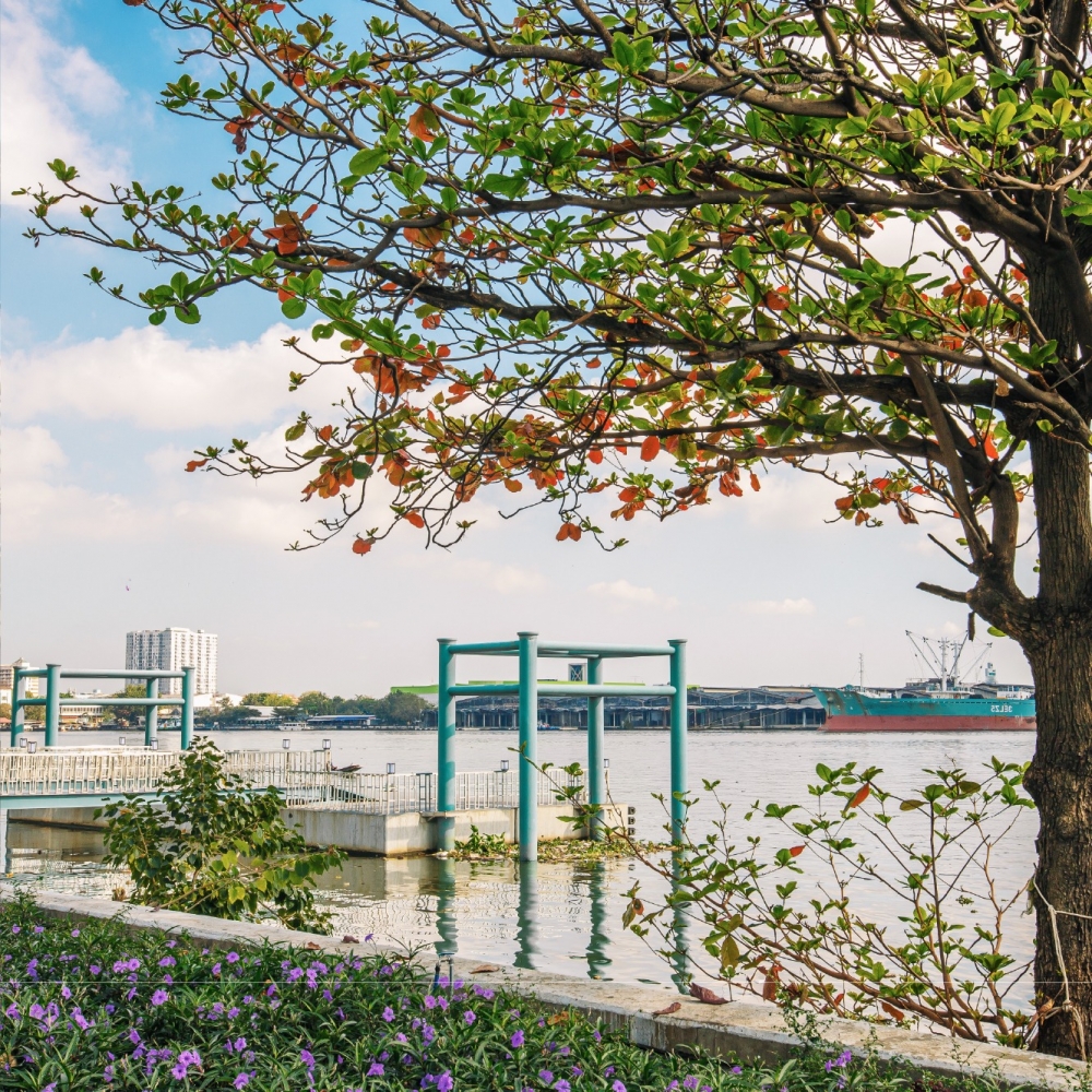 這裡係唯一可以欣賞到河景的Terminal 21商場！