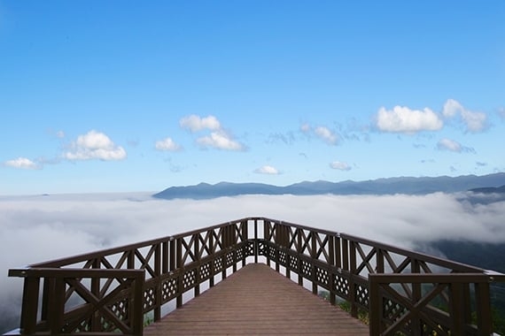 「Sky Wedge」嘅V字形設計就最適合俾大家打卡影相用～