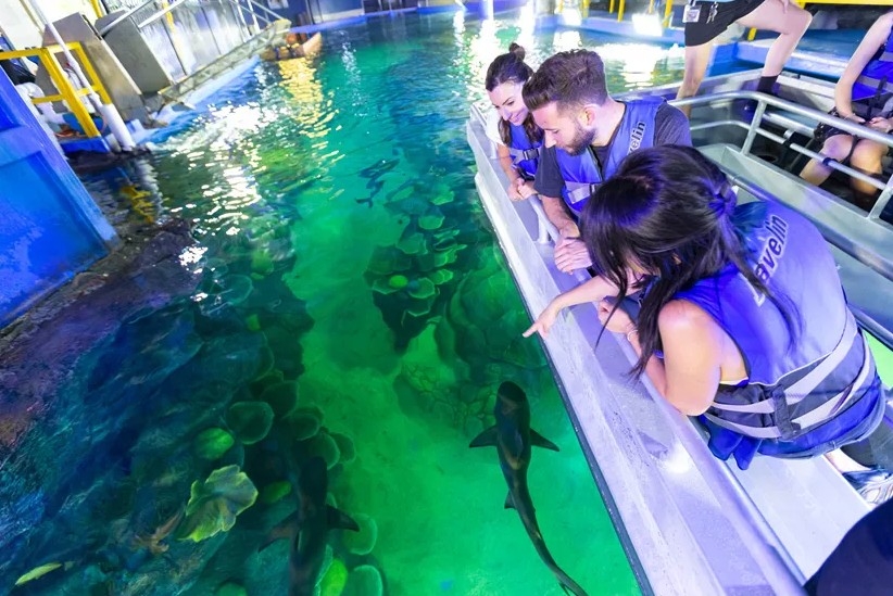 裡面有好多唔同嘅海洋生物，仲有唔同嘅體驗活動提供俾旅客～