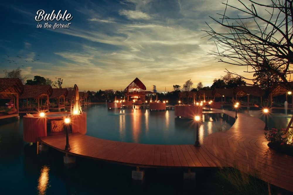 Bubble in the forest IG