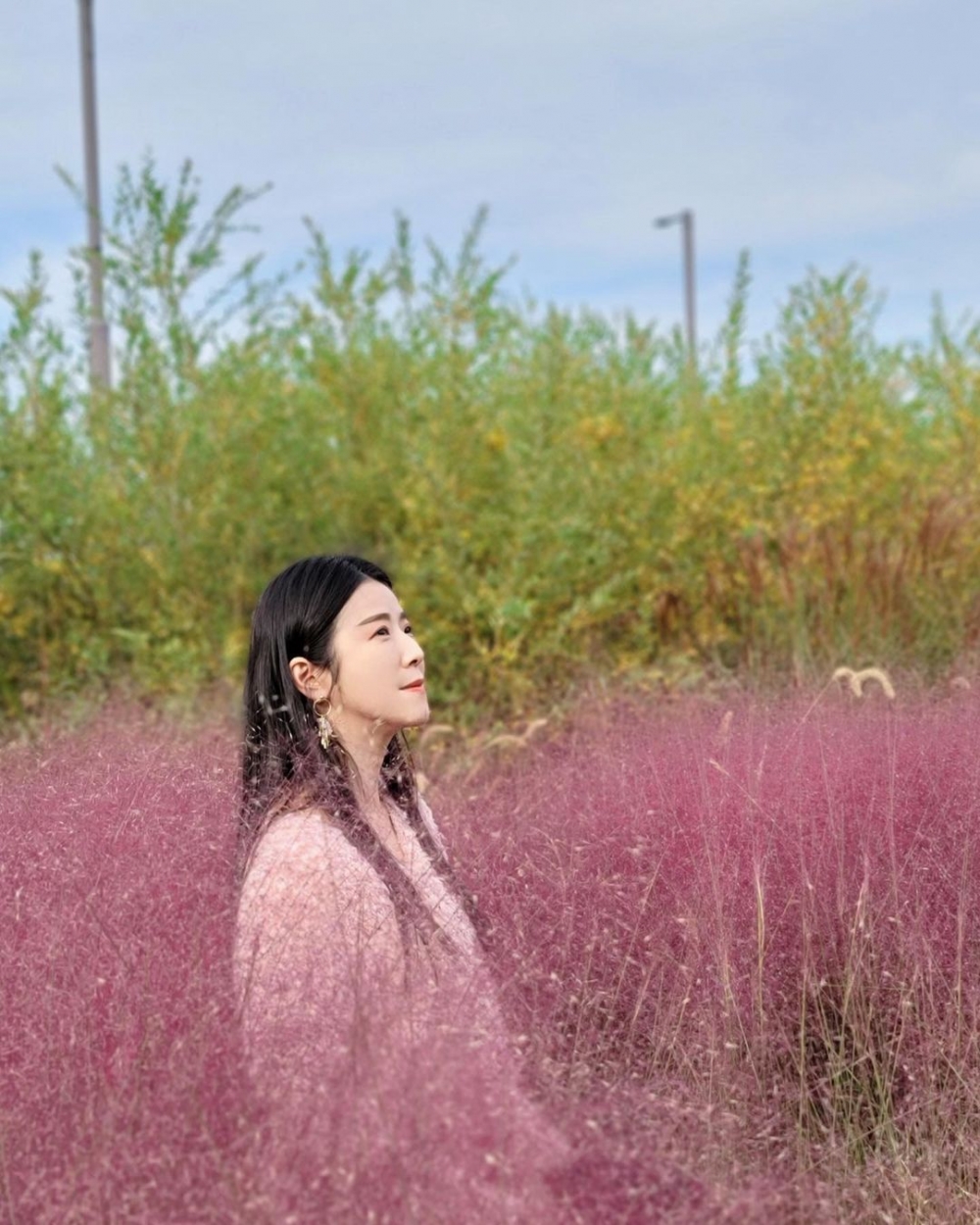 蠶院漢江公園的粉黛亂子草人氣雖然不及天空公園，但同樣可以影到好多靚相啊～
