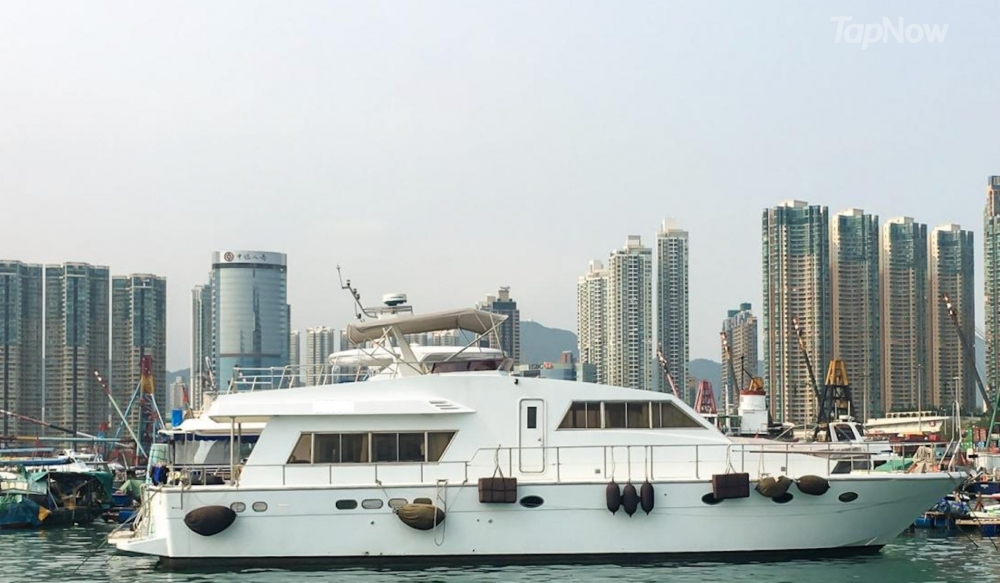 飛揚遊為大家提供坐私人遊艇出海,欣賞中華白海豚嘅機會~