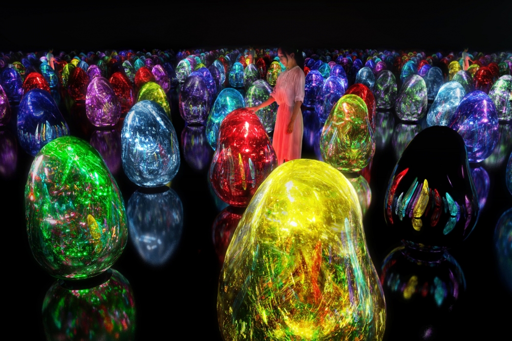 大阪新景點推介2022：大阪長居植物園：TeamLab Botanical Garden