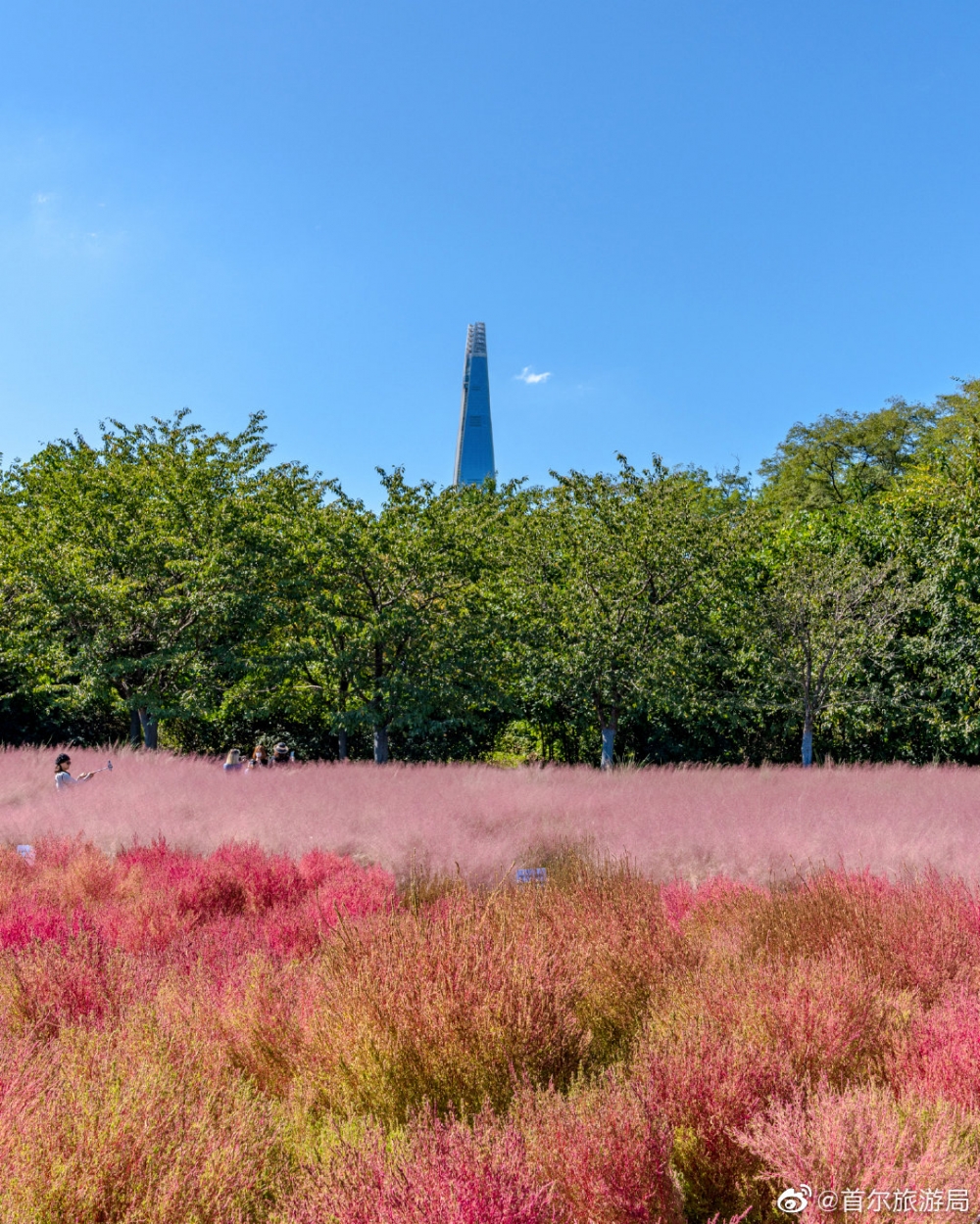 韓國秋季打卡景點：首爾奧林匹克公園
