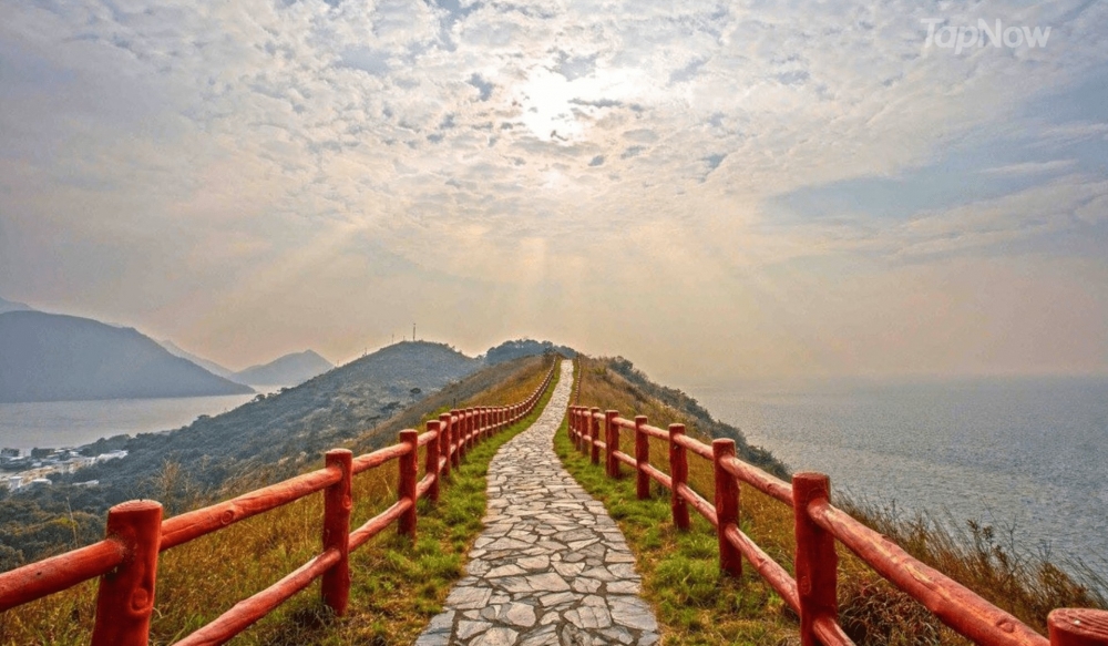 而另一個方案就包埋遊覽大澳