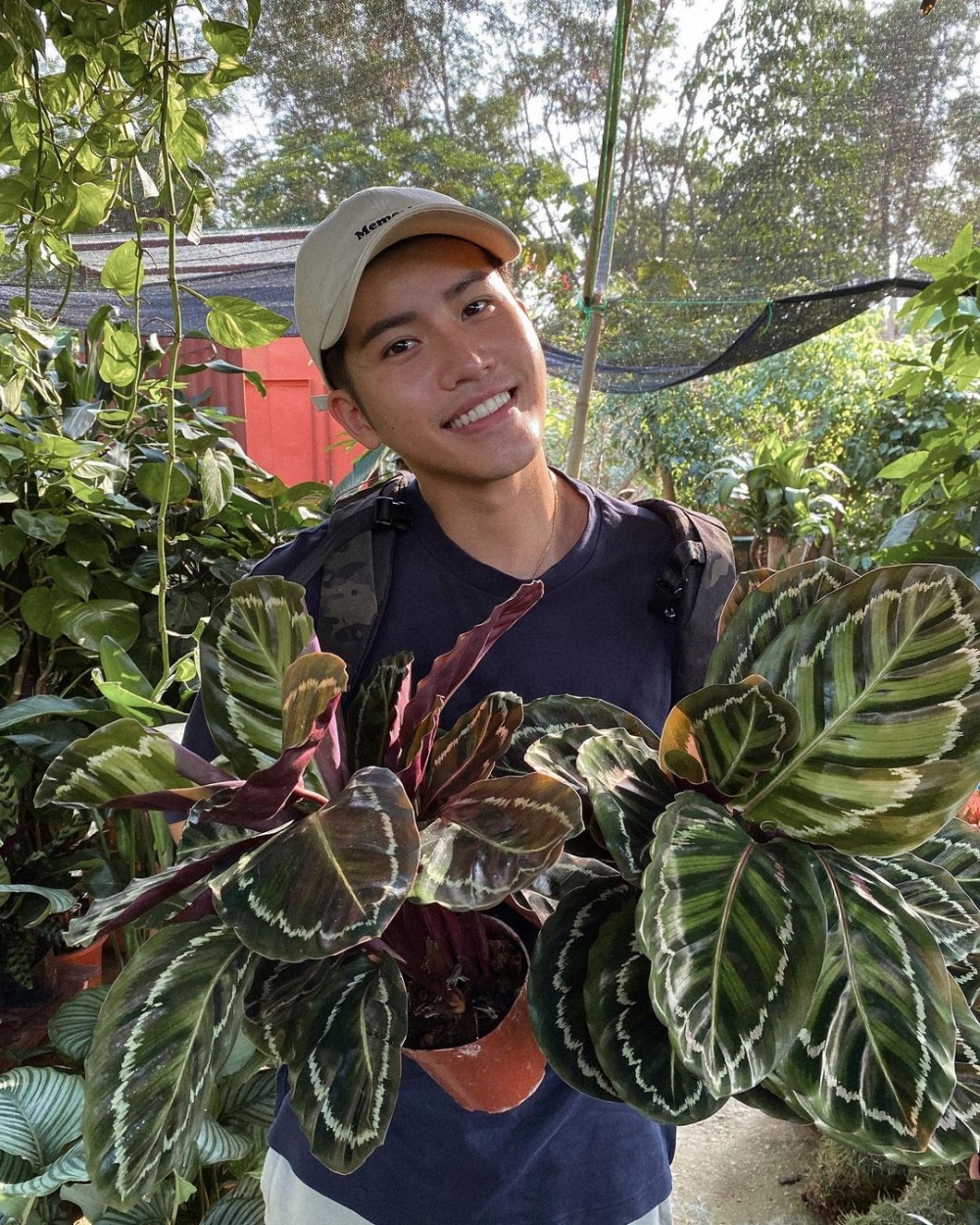 而男方就因為剛開始發展園藝事業，事業尚於起步階段。