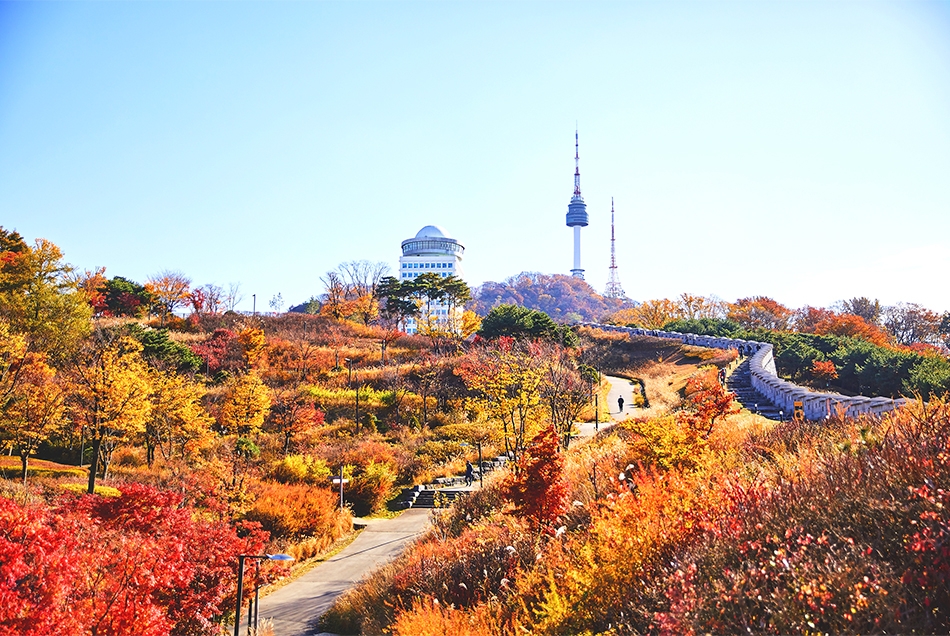 韓國賞楓好去處：南山公園 