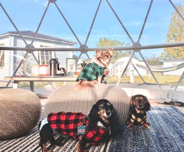 高滝湖グランピングリゾート FB