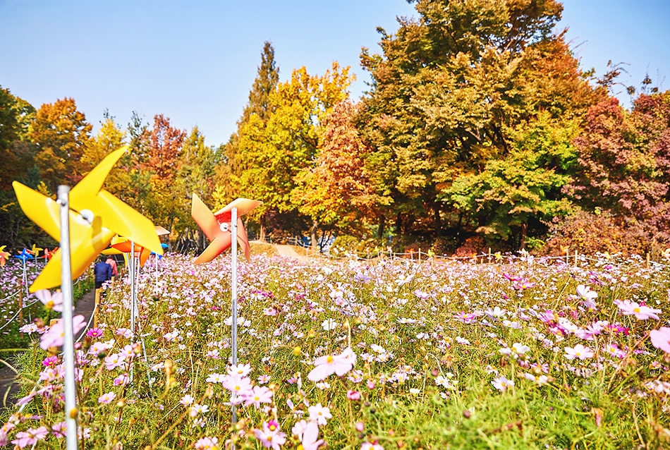 韓國賞楓好去處：奧林匹克公園 
