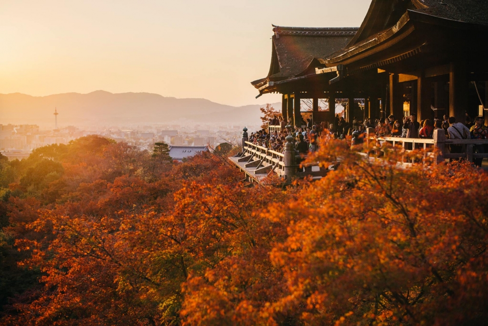 日本賞楓好去處推介:清水寺