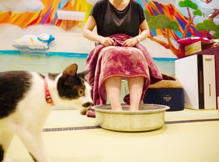 貓Cafe特設足湯專區～