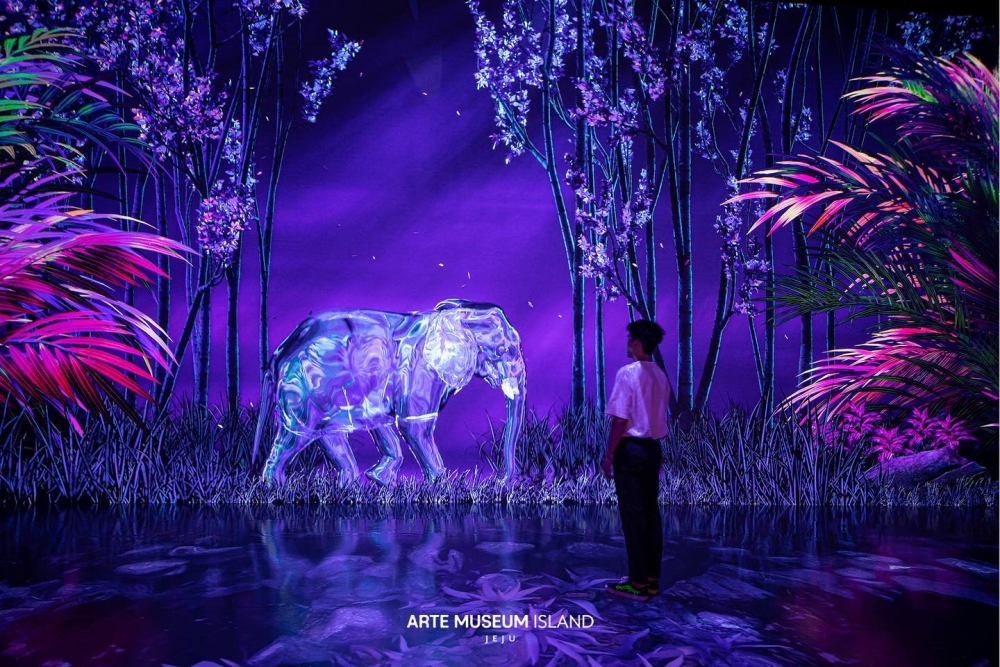 「夜間野生動物園」主題的展區～