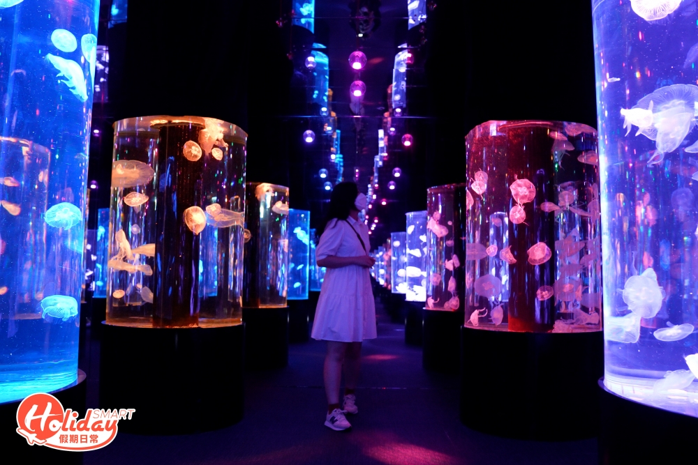 荃灣浩海立方 · 探游館位佔地過萬呎，是全港首個結合真實生物及投影技術效果的海洋體驗館，館內設有16個主題區，更設不同種類的水母供觀賞。