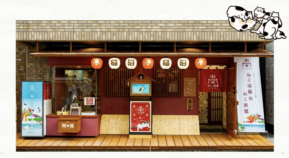 大阪新景點推介2022：貓客棧+貓浴場Café