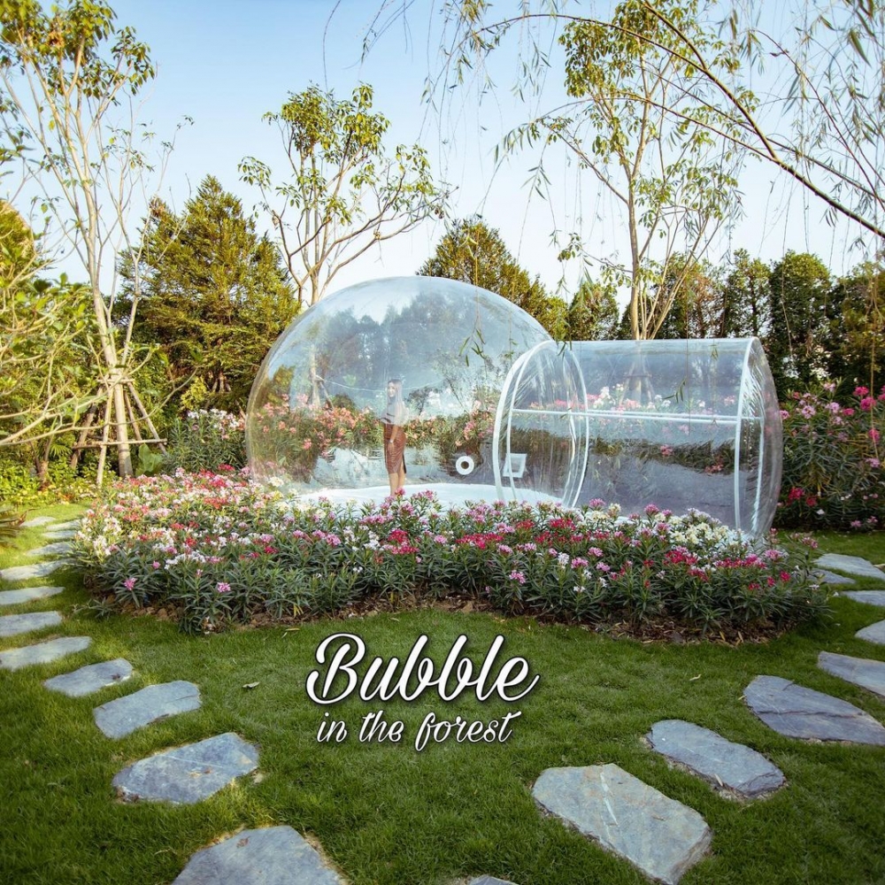 Bubble in the Forest FB