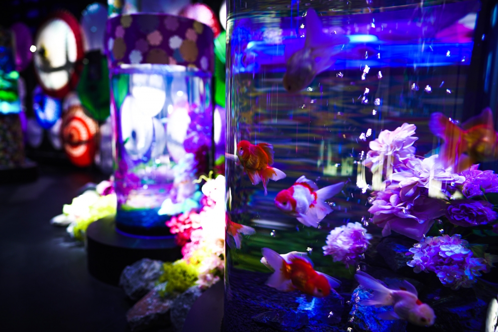 UWS AQUARIUM GA☆KYO 官網