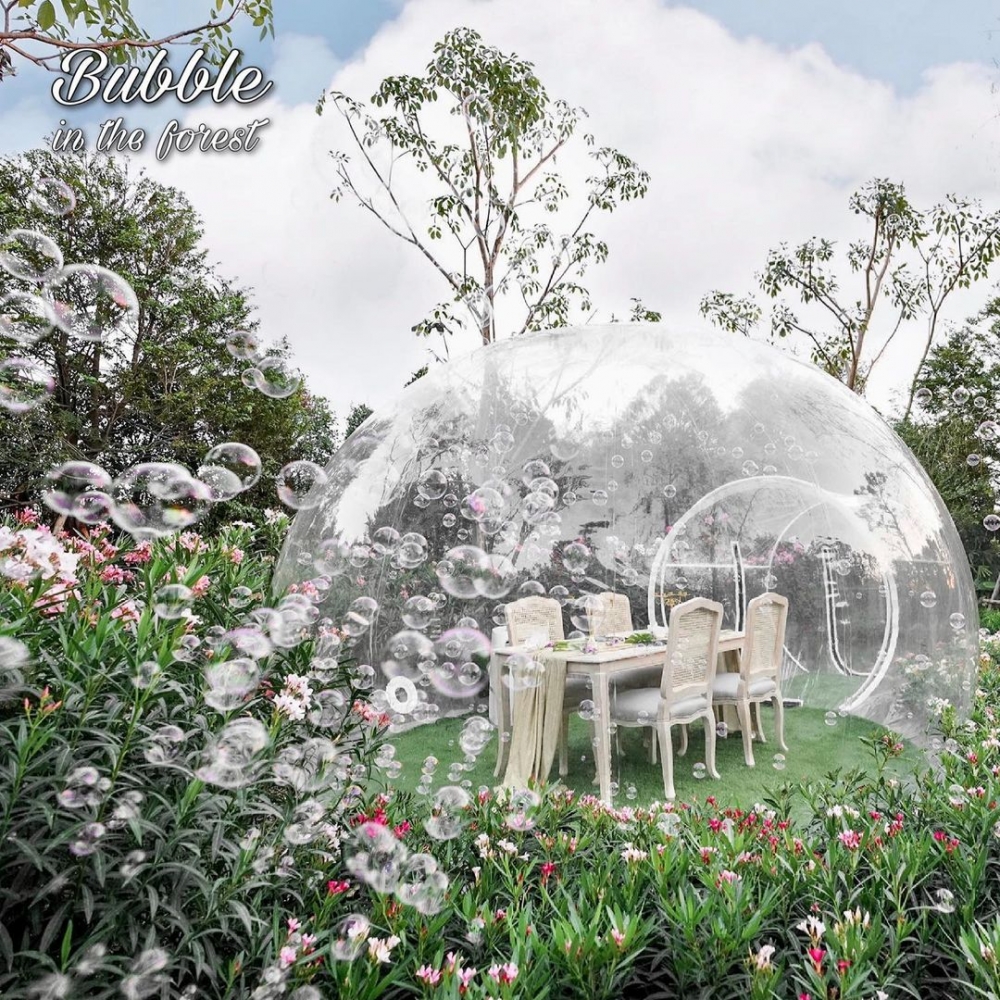 Bubble in the Forest FB