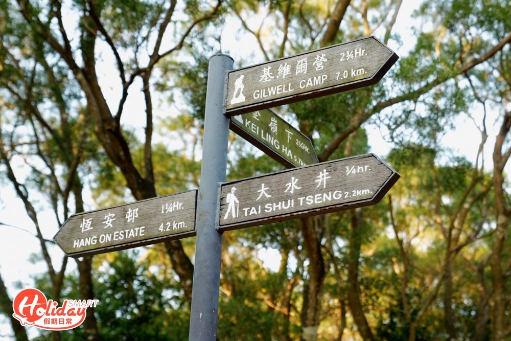 中途會看見涼亭以及分岔口的指示牌,跟著「往昂平營地」的指示牌路線,再走大概15分鐘就會看見大金鐘山,即代表已到達昂平大草原!