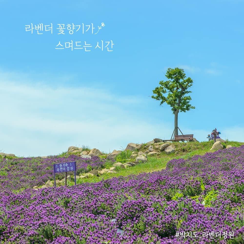 1004shinan_island IG