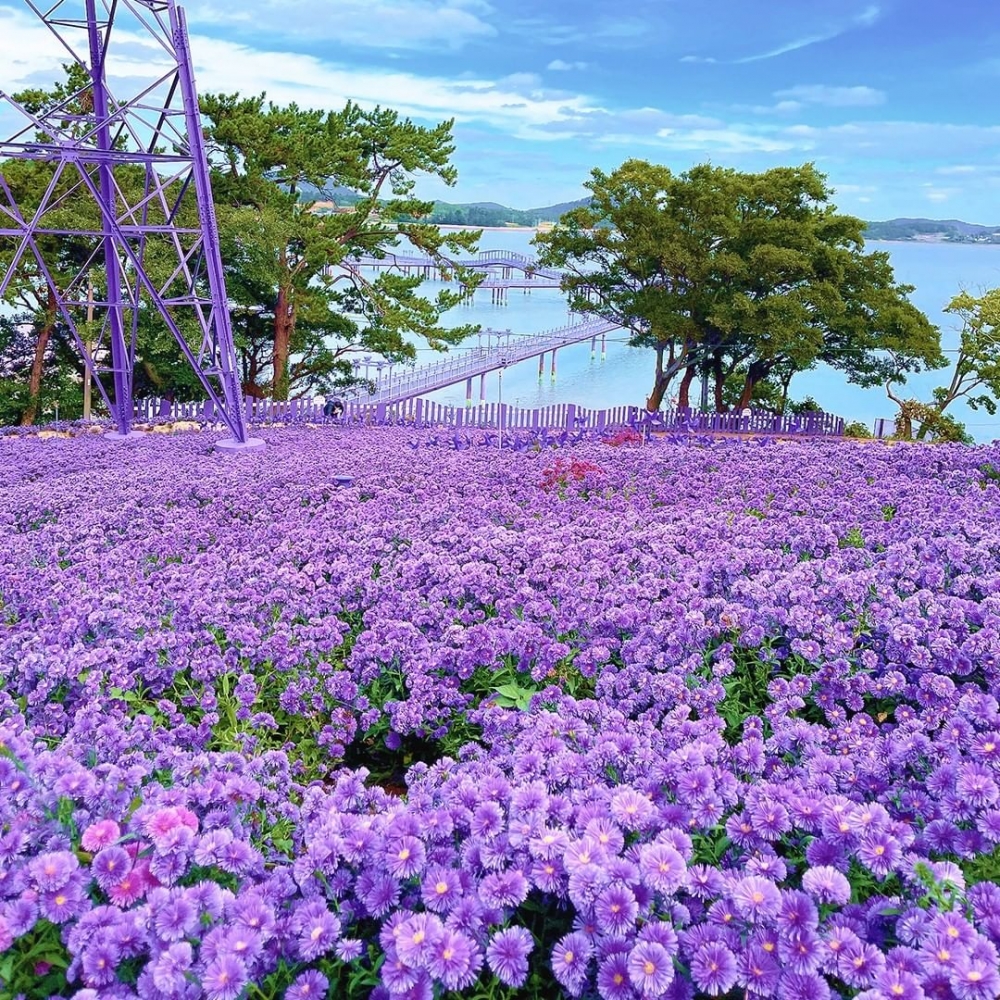 1004shinan_island IG