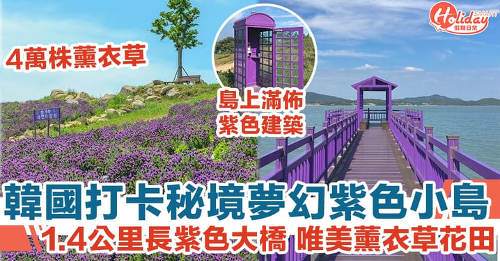 韓國打卡秘境夢幻紫色小島 1.4公里長紫色大橋 唯美薰衣草花田