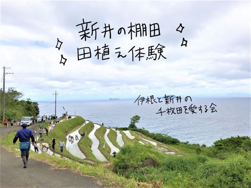 伊根觀光協會 IG