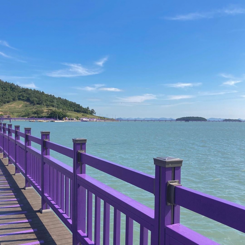 105950195_3200034300043707_8447726588763731707_n