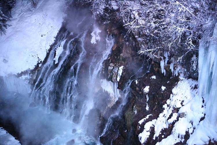 美瑛町觀光協會 官網