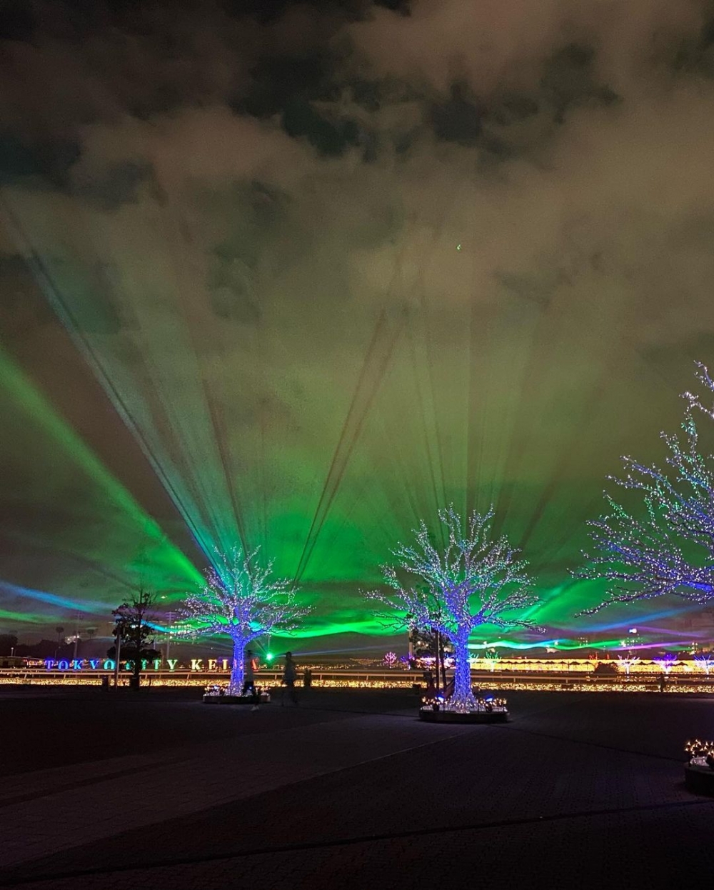 東京大井競馬場處處都有結合絢爛燈飾的光影活動和打卡位！