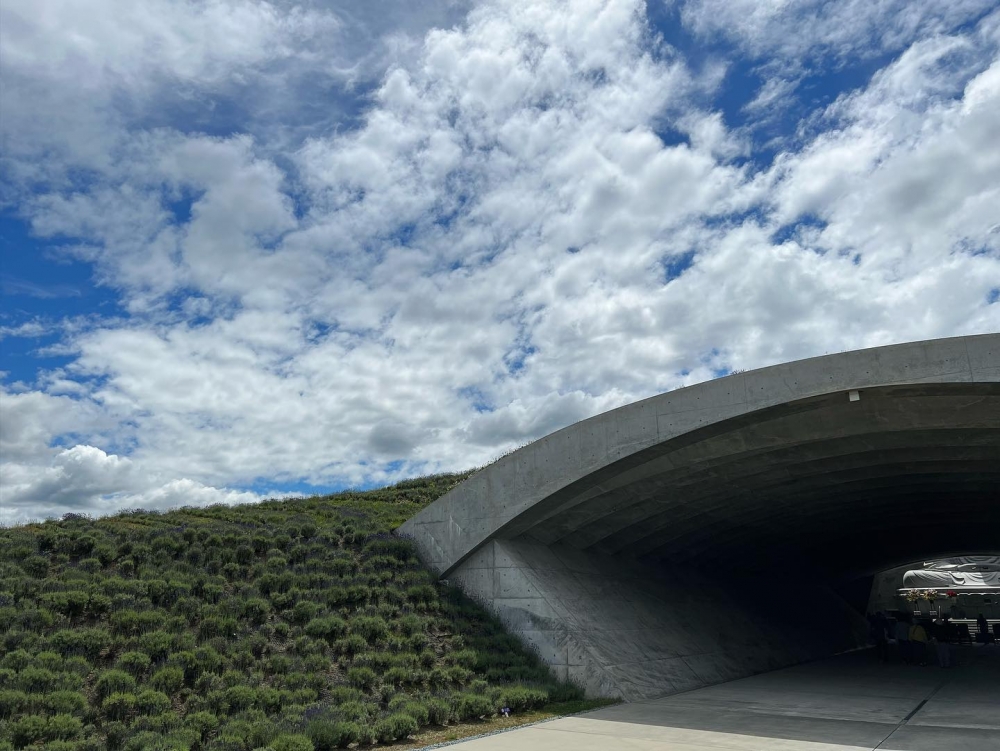 只有走過隧道後，才能看到整個佛像的全貌！