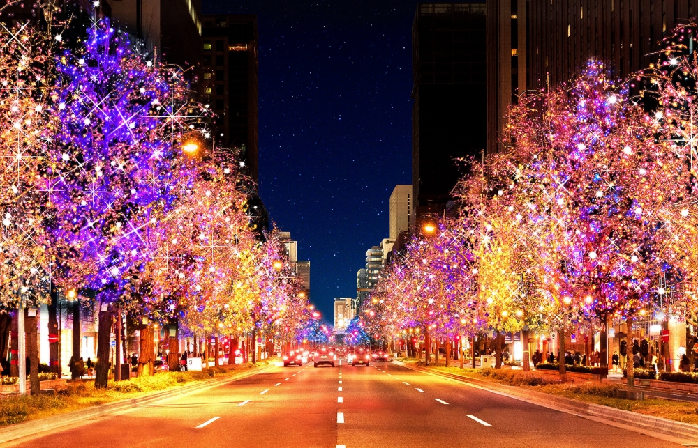 「御堂筋彩燈2022」曾被列為「全球最長的燈飾大道」世界紀錄，全長4公里的光之道，係「大阪‧光之盛宴」的重頭戲之一！