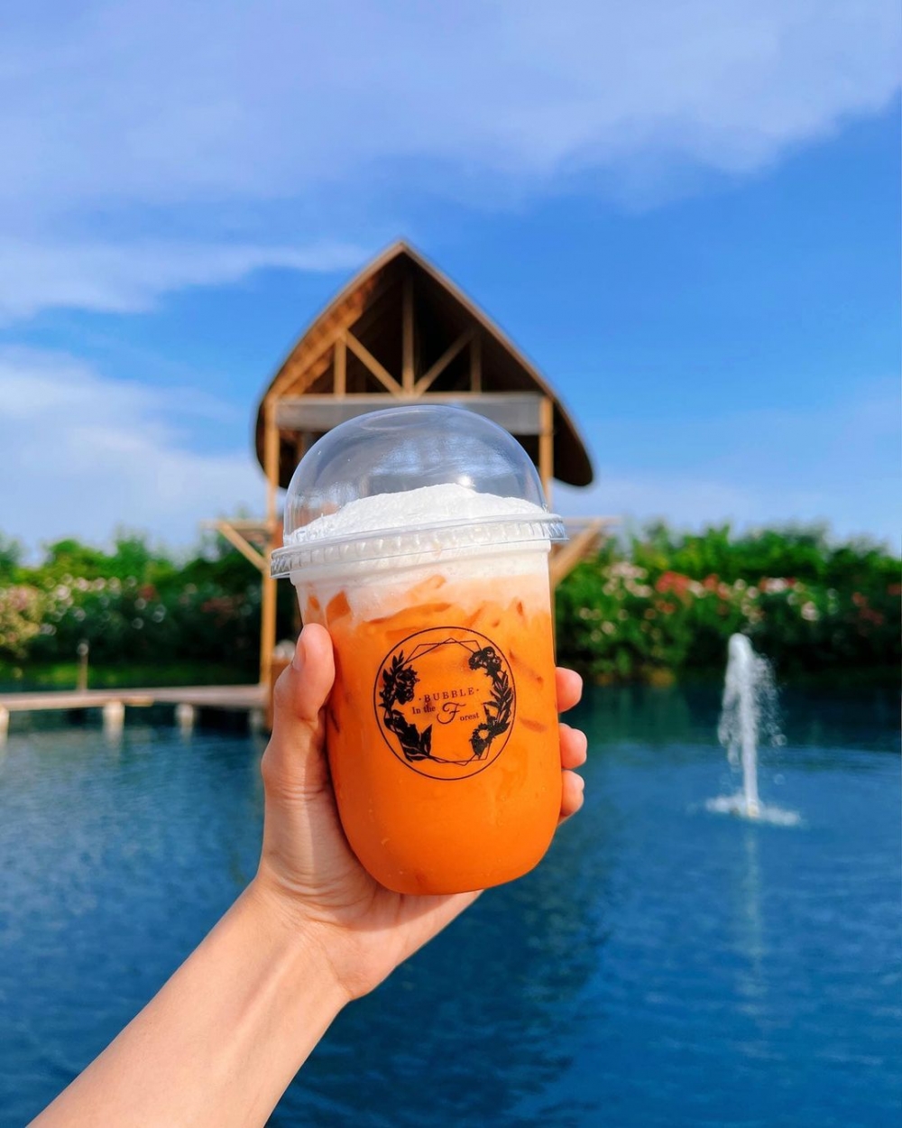 Bubble in the Forest FB