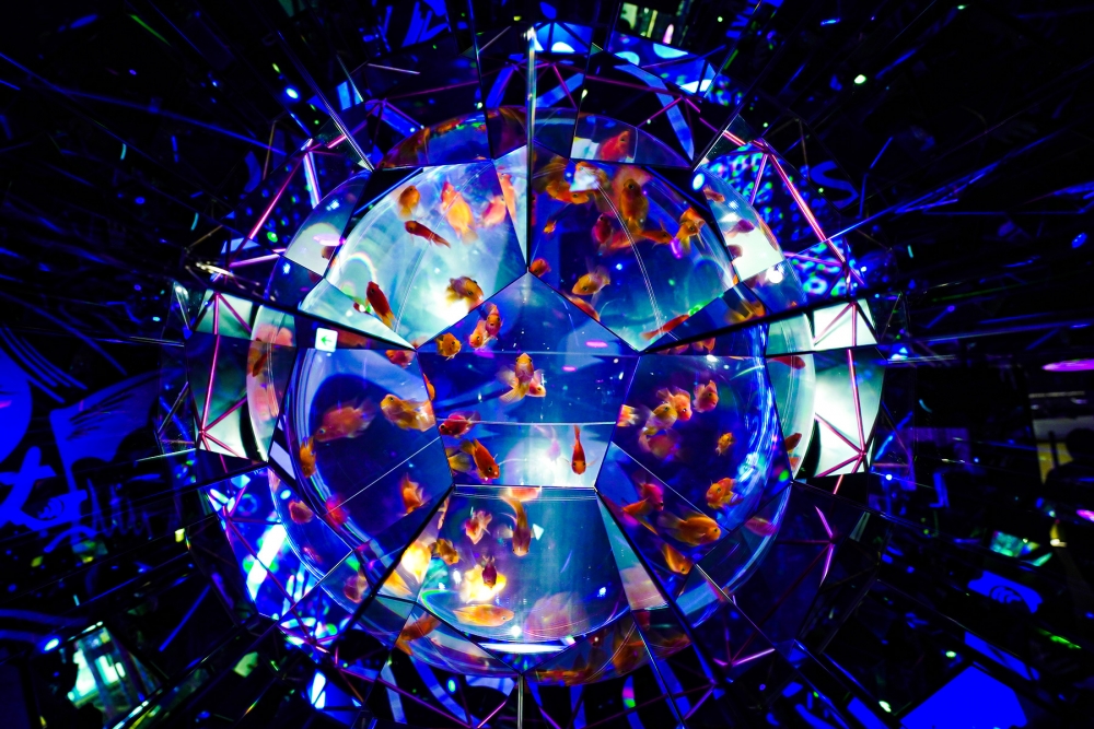 UWS AQUARIUM GA☆KYO 官網