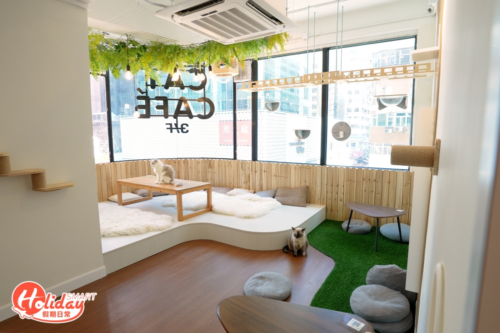 新店足有1,600呎，有超大範圍供主子跑動放電，而重要的是可以幫助到更多的浪浪！