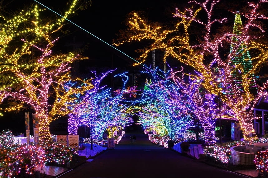 全長180米的林蔭道被裝飾到閃閃發光～