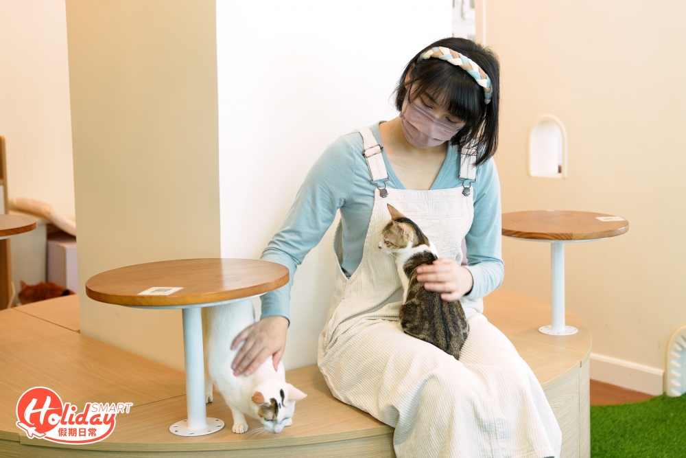 問到店主開分店的主因，她指過去兩年接觸到大量需要幫助的流浪貓，當中所花的時間、金錢、空間極多，每月貓貓的醫療費用、罐罐、日常費用已佔支出至少三成！