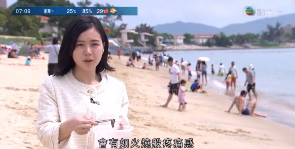 當時嘅林婷婷常出外採訪,甚少化妝,十分樸素。