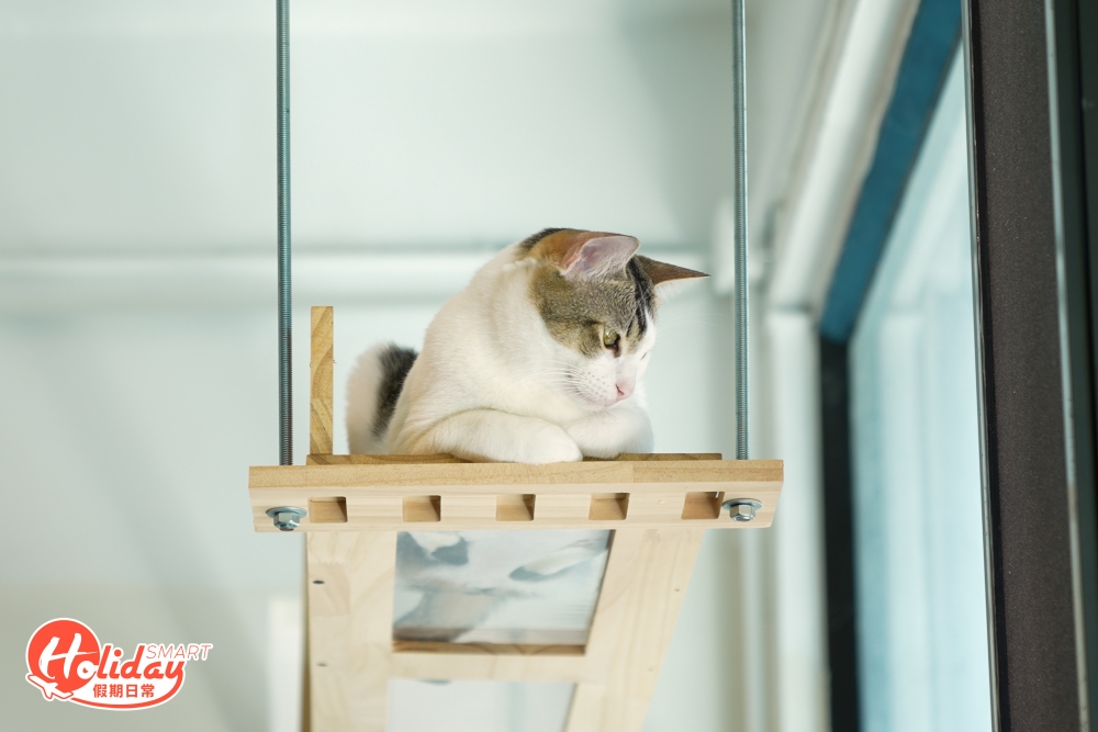 可能各位貓奴都會擔心Cafe會利用貓貓做生意，但店主指現時會努力做到收支平衡，達到後每月淨盈餘的8%將捐給慈善機構，如為人熟悉的「愛領養」和「阿棍屋」等。