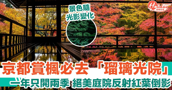 京都賞楓必去「瑠璃光院」一年只開兩季 絕美庭院反射紅葉倒影