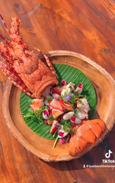 Bubble in the Forest FB