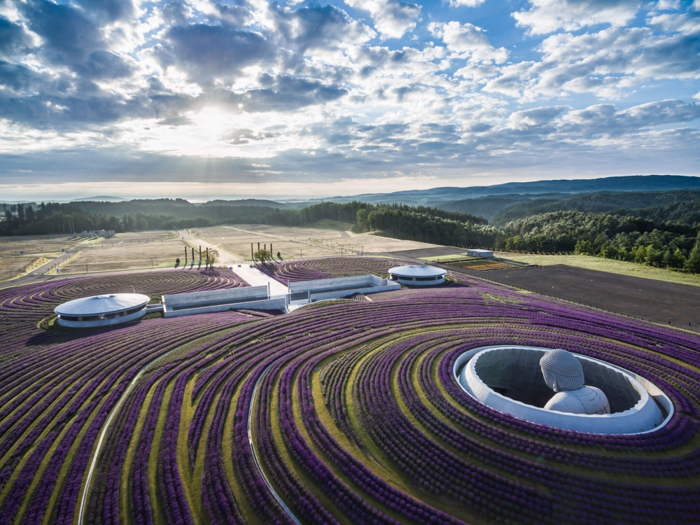 頭大佛位於真駒內瀧野靈園，但這裡環境空間十分明亮寬敞，完全沒有陰沉的感覺！