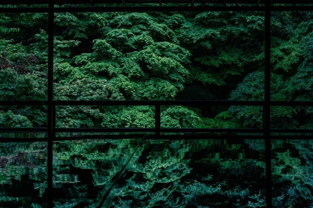 xxakaxxv Twitter