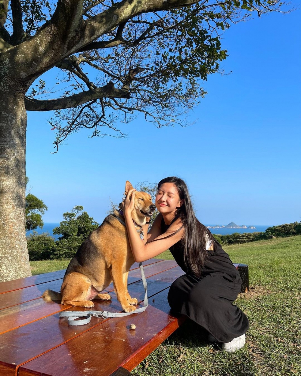 出道以嚟Mandy做過好多廣告模特兒，佢曾自爆係隔代混血